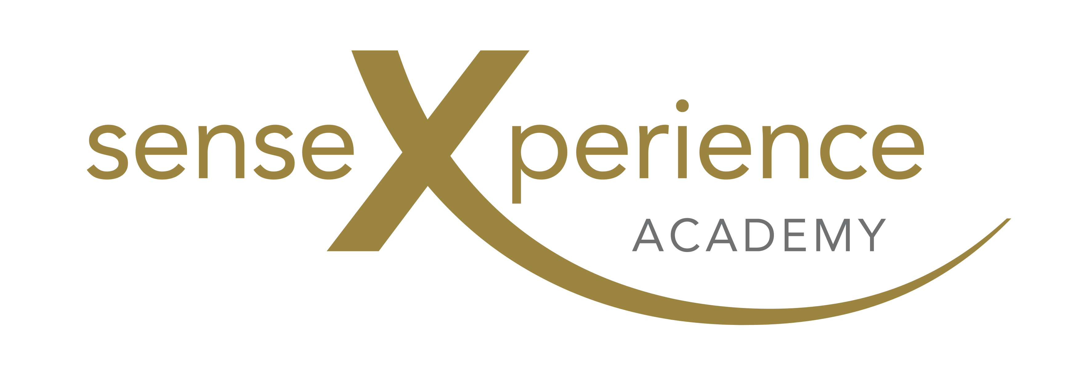 senseXperience Academy